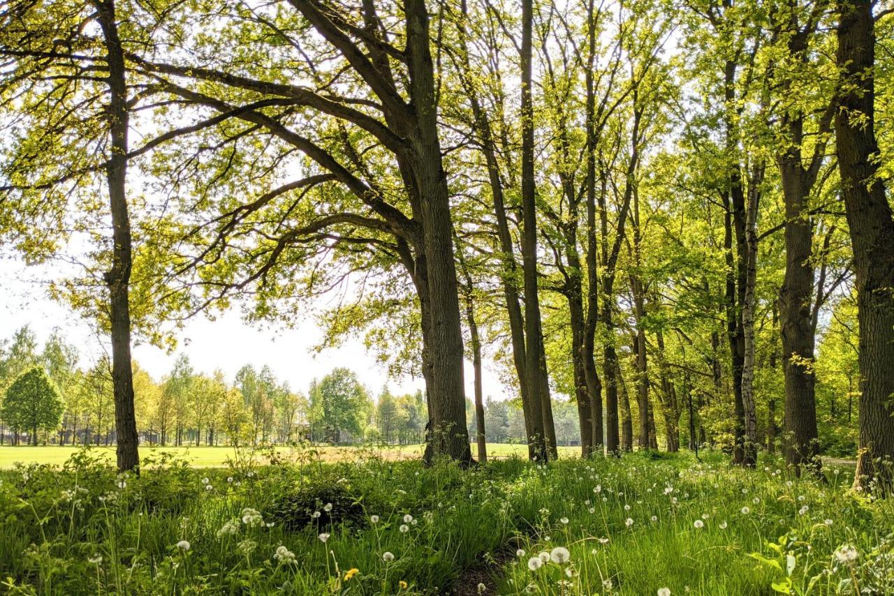 Camping De Vinkenkamp Lieren Extérieur photo